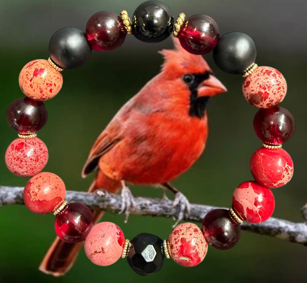 Embrace Our Souls - Cardinal