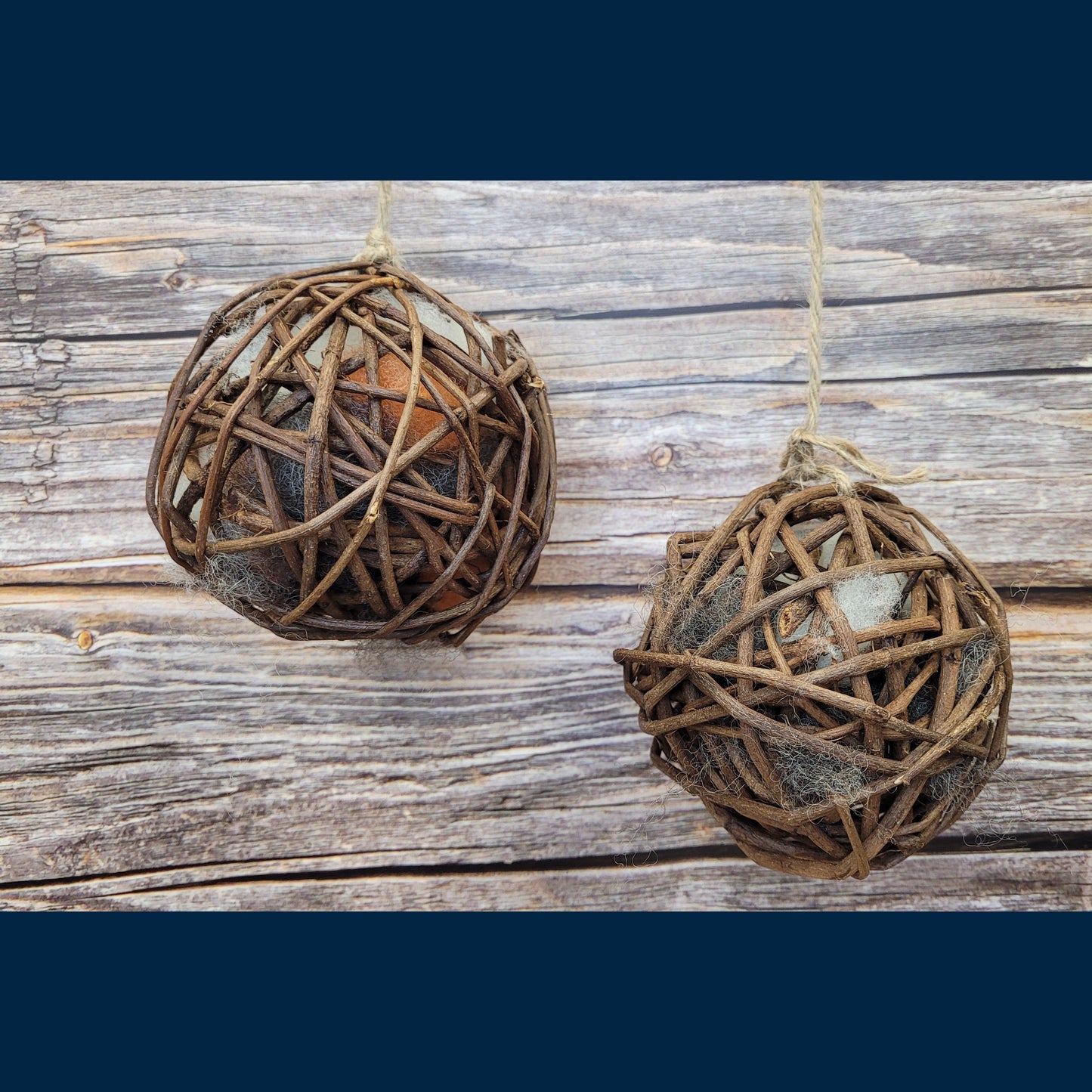 Bird Nest Starter