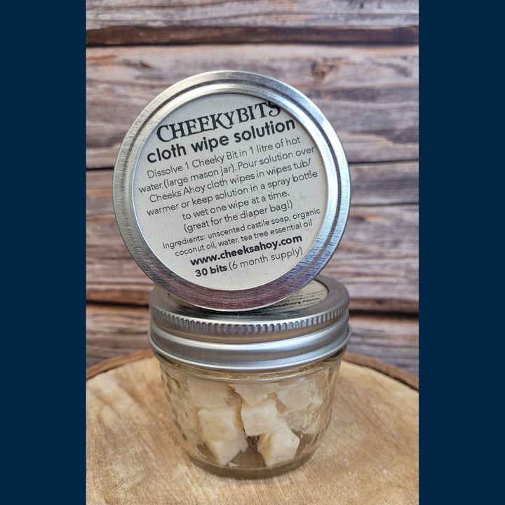 Cheeky Bits Wipe Solution Cubes