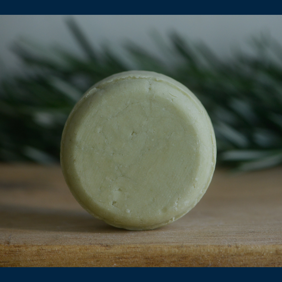 Solid Shampoo