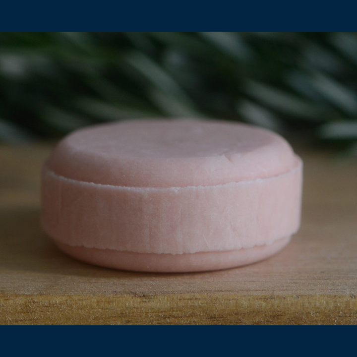 Solid Shampoo