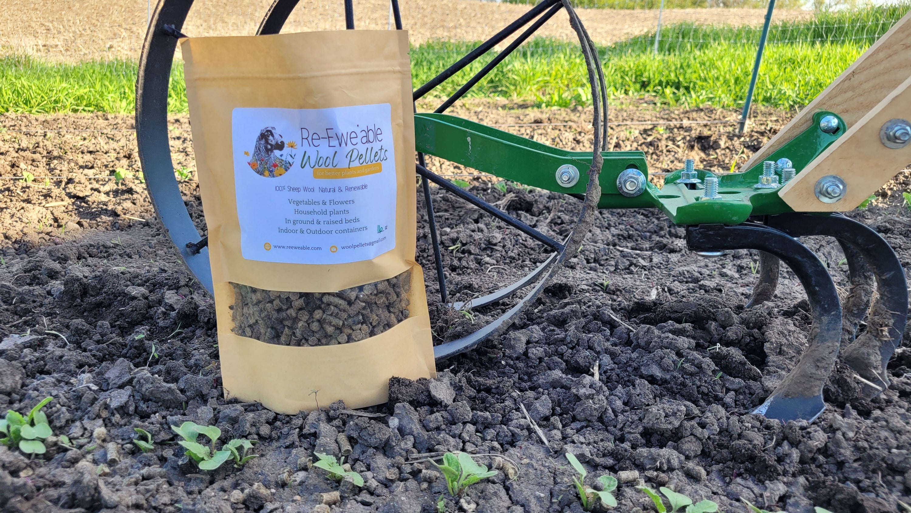 Best Plants to Grow with Wool Pellets