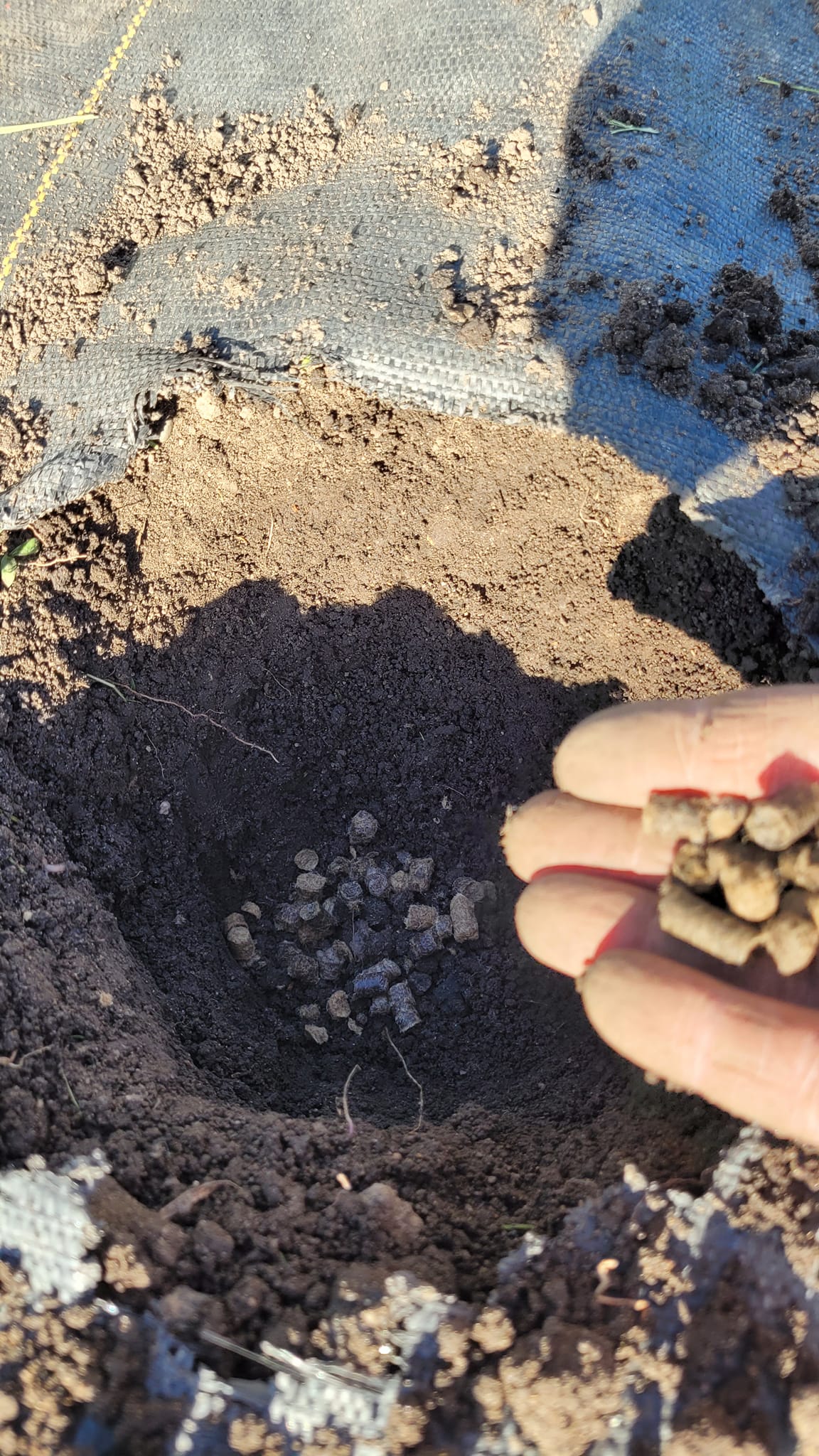 How much wool pellets do I use?