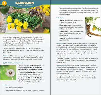 AdventureKEEN - Foraging in North America Quick Guide