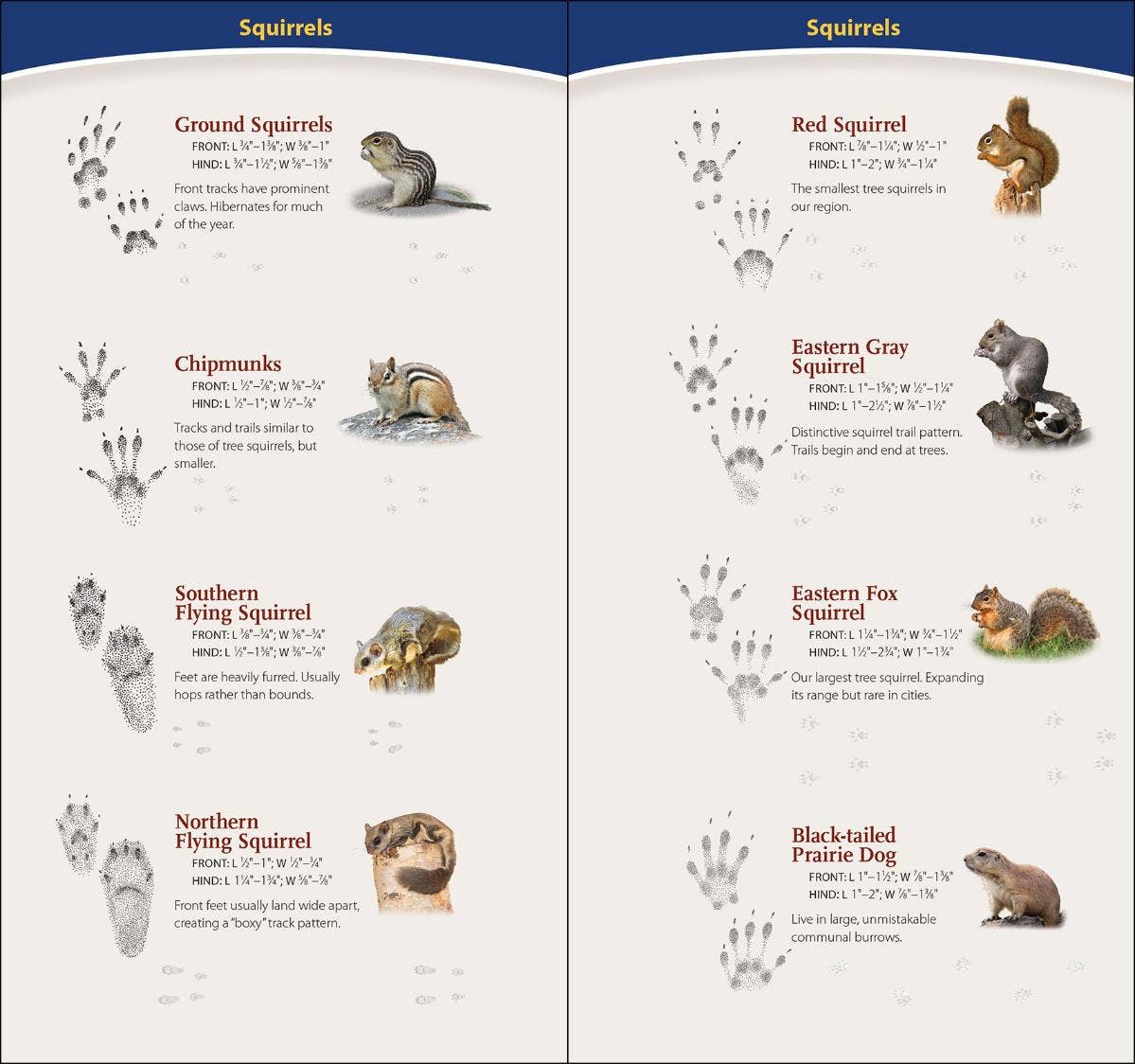 AdventureKEEN - Animal Tracks of Midwest Quick Guide
