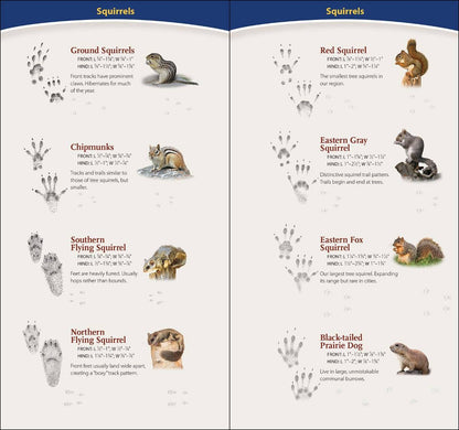 AdventureKEEN - Animal Tracks of Midwest Quick Guide