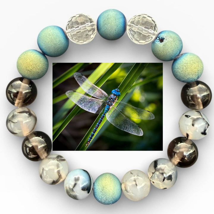 Embrace Our Souls - Dragonfly