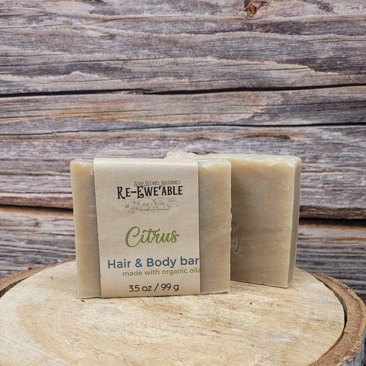 Shampoo & Body Bar
