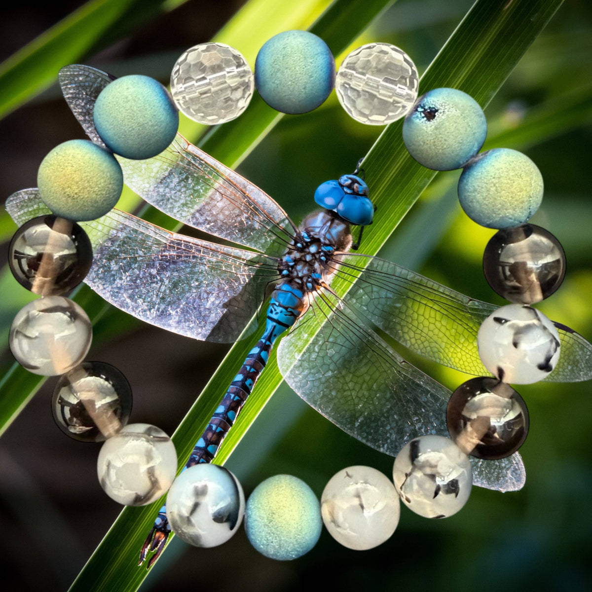 Embrace Our Souls - Dragonfly