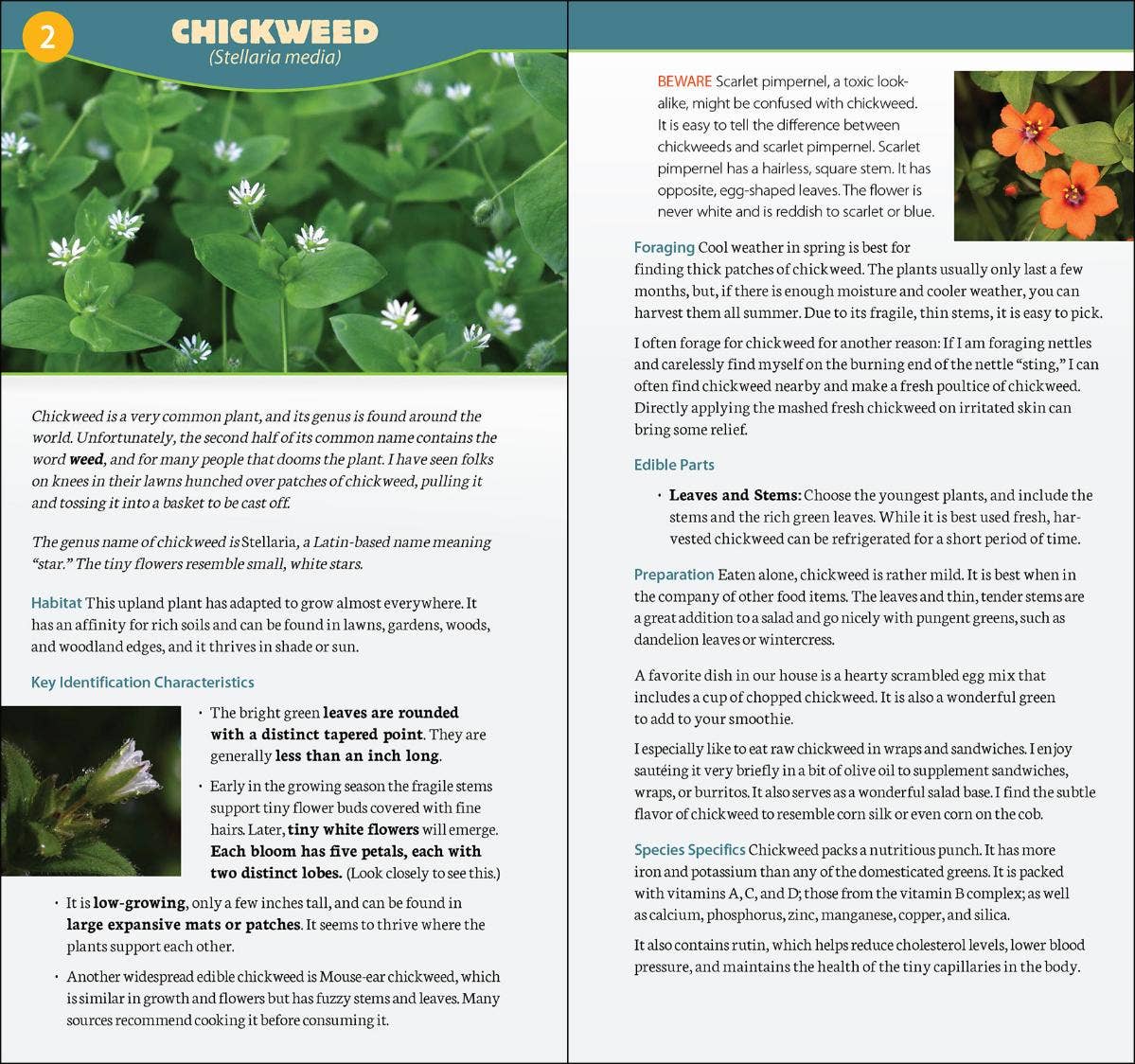 AdventureKEEN - Foraging in North America Quick Guide