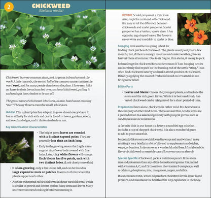 AdventureKEEN - Foraging in North America Quick Guide