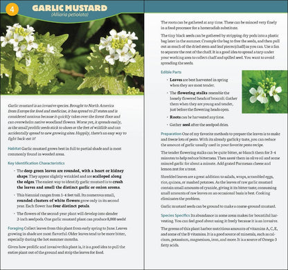 AdventureKEEN - Foraging in North America Quick Guide