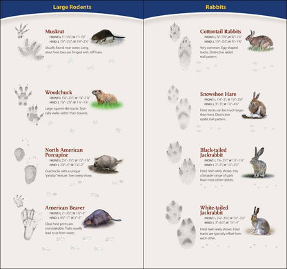 AdventureKEEN - Animal Tracks of Midwest Quick Guide