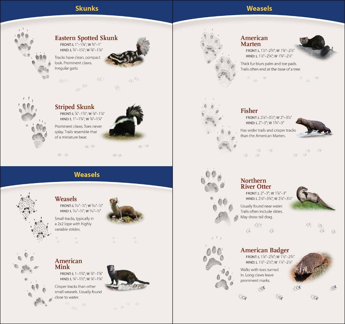 AdventureKEEN - Animal Tracks of Midwest Quick Guide