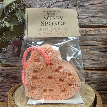 Soap Infused Sponge